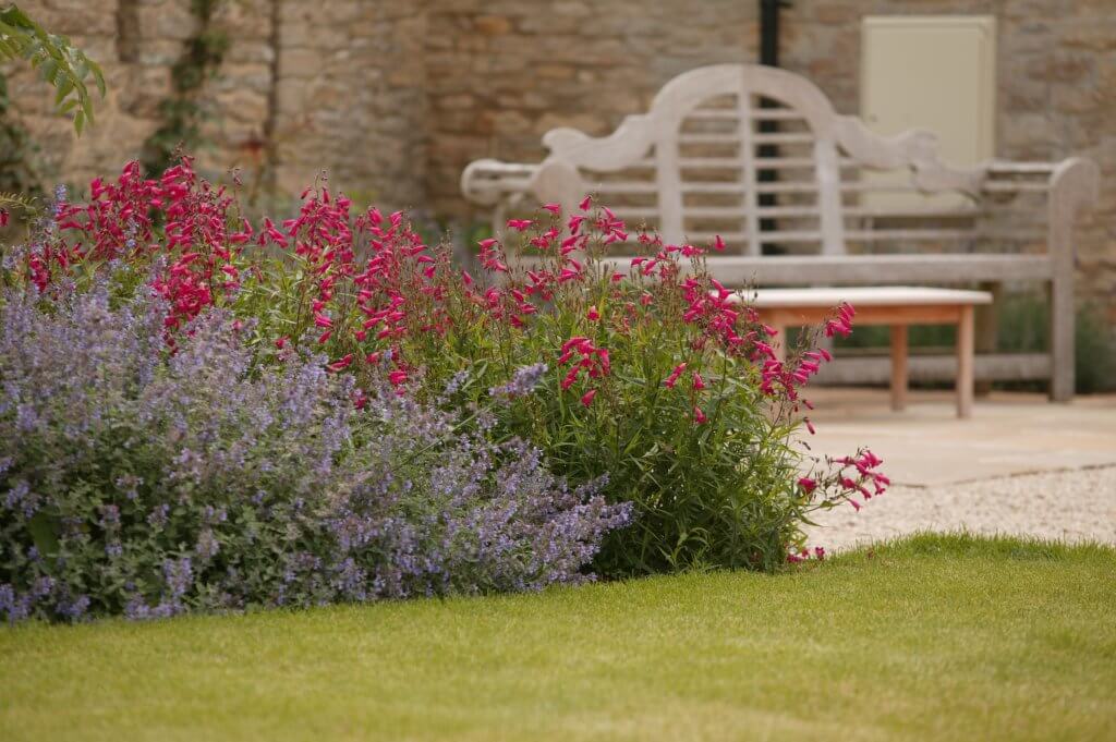 Planting Aspirational 2