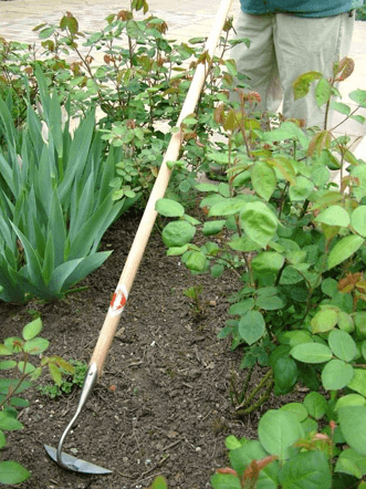 Sneeboer Long Handled Half Moon Hoe